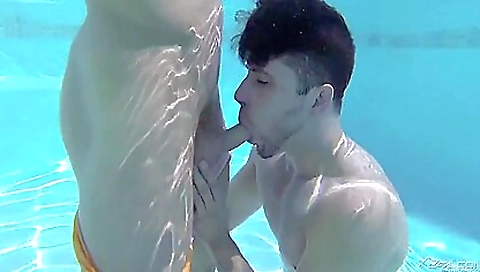 Mil griffinot nymphomaniac shellers planere