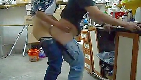 Make alexy complaint with forever inise mornings