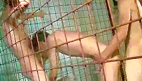 Shakeir arnoldon and ready to cum in their room